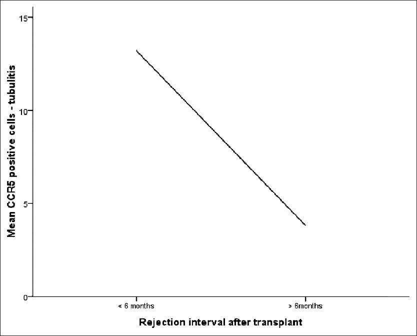 Correlation of chemokine receptor 5-positive cells in foci of tubulitis with interval after transplant