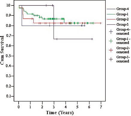 Kaplan-Meier patient survival curves in different age subgroups