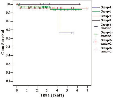 Kaplan-Meier death censored graft survival curves in different age subgroups