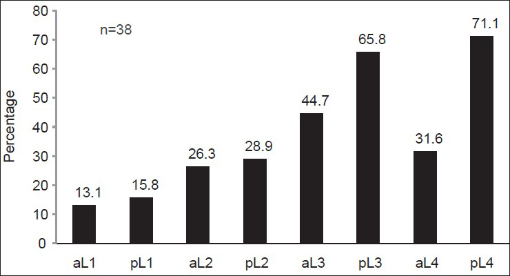 Distribution of abdominal aortic calcification. The major sites of calcification among the 38 patients detected to have abdominal aortic calcification on X ray. On X axis, aortic segments are denoted as ‘a’ or ‘p’ referring to anterior or posterior aortic wall, followed by the lumbar vertebra opposite the aortic wall seg`ment. (eg. aL1 refers to the anterior aortic wall opposite the first lumbar vertebra)