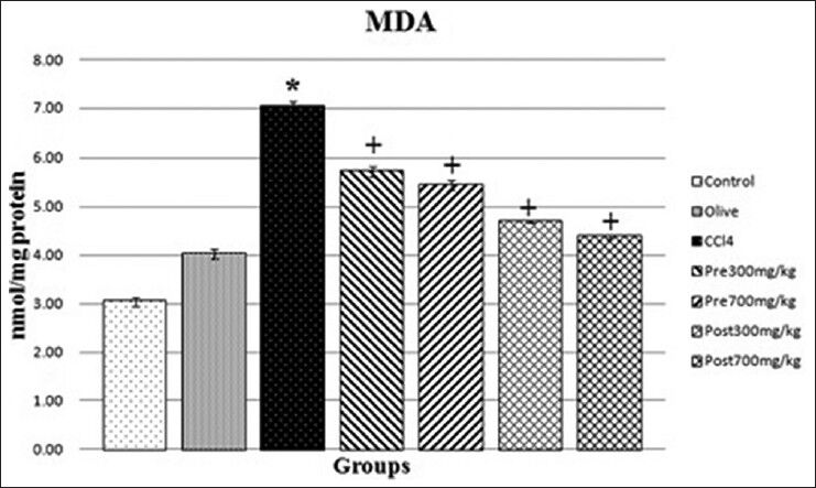 Effect of CMFE on renal contents of MDA in rat. *Indicate significance at P < 0.05 probability from the control group. +Indicate significance at P < 0.05 probability from CCl4 group. CMFE, Cornus mas fruit extract; MDA, malondialdehyde