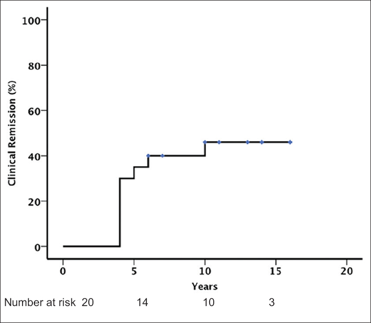 Clinical remission (defined by preserved renal function, proteinuria persistently <0.2 g/day, and the persistent disappearance of microscopic hematuria)