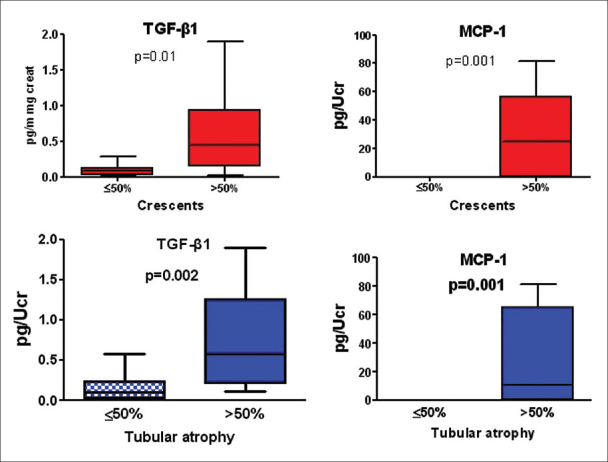 Differences in urinary cytokine excretion in focal segmental necrotizing glomerulonephritis according to the severity of tubular atrophy and crescent formation