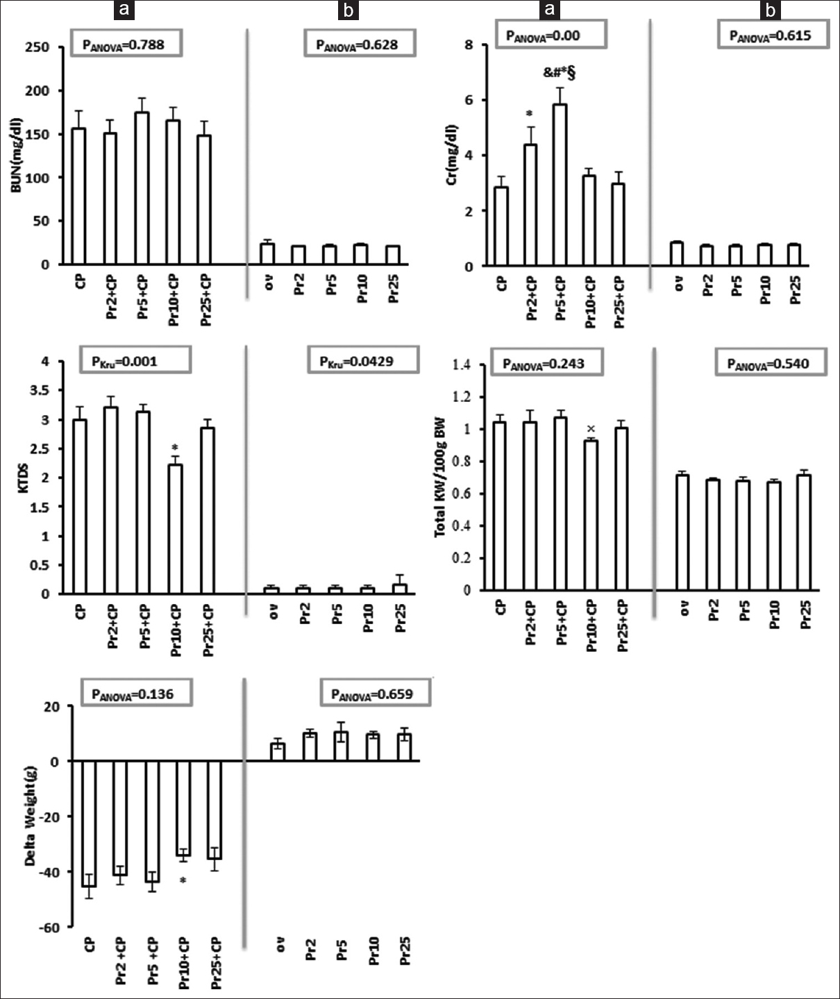 Serum blood urea nitrogen (BUN) and creatinine, kidney tissue damage score, total kidney weight and weight change (delta weight) in all experimental groups (Phase 1). (a) The effect of progesterone on CP-induced nephrotoxicity. (b) The effect of progesterone (Pr) on the parameters measured. *, and, ×, §, and #indicate significant difference (P < 0.05) from the positive control (CP), Pr 2 + CP, Pr 5 + CP, Pr 10 + CP, and Pr 25 + CP, respectively