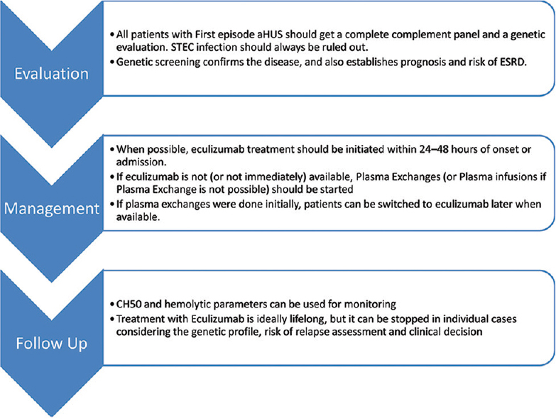 Current evidence-based management of atypical hemolytic uremic syndrome (Adapted from Loirat et al.[4])