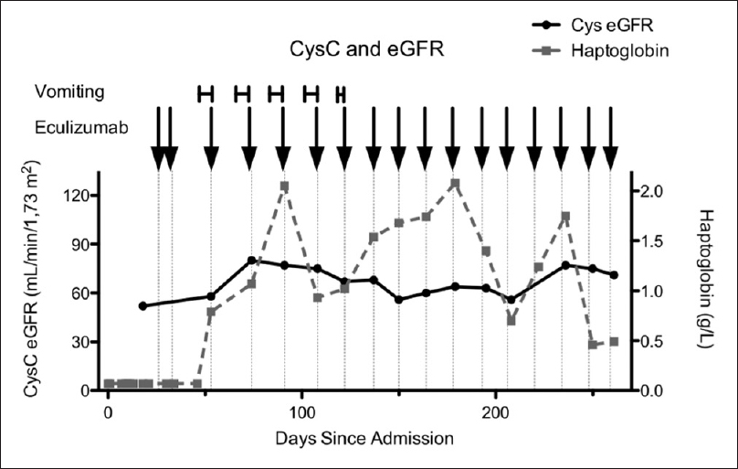 Chronological cystatin C estimated glomerular filtration rate and haptoglobin measurements from the time of admission. Vomiting is marked according to its duration and eculizumab treatments are marked with arrows