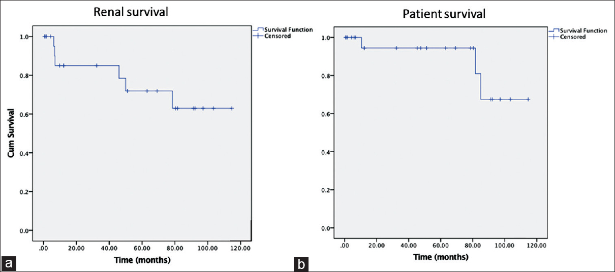 Kaplan Meier survival curves - a) renal survival, b) patient survival