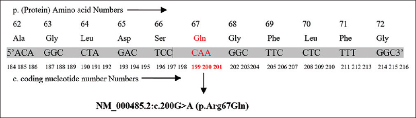 The nucleotide sequence of the Exon 3 in the APRT allele showing a homozygous point mutation at codon 200 CGA to CAA (NM_000485.2:c. 200G>A)