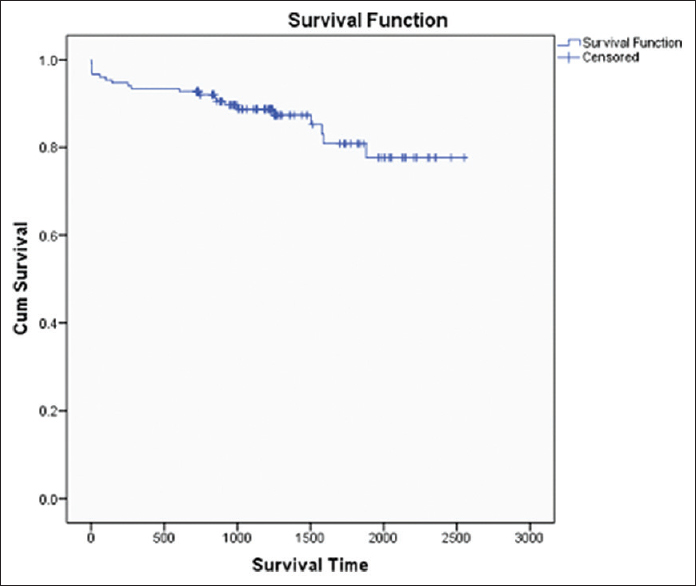 Patient Survival Curve