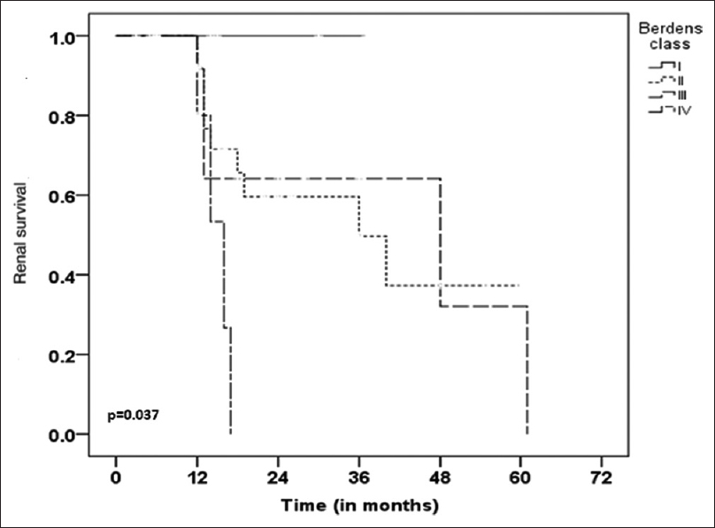 Kaplan-Meier survival analysis for Berden's histological categories