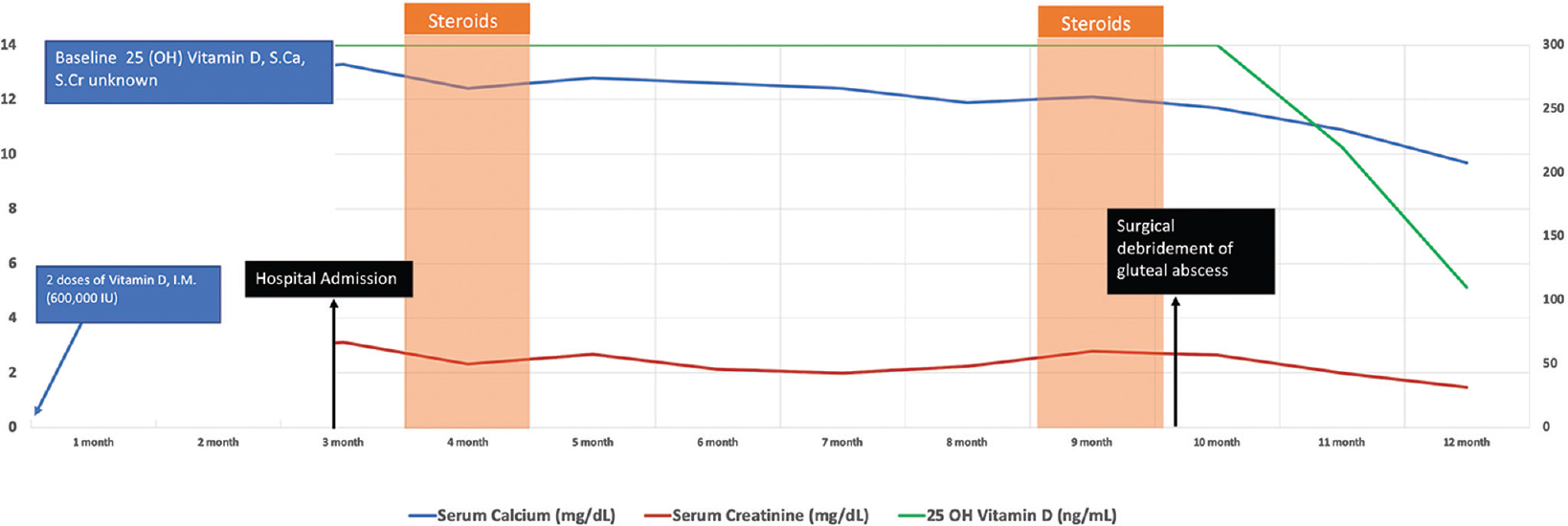 Diagram showing the clinical course of the patient over 1 year after the administration of Vitamin D injection. S.Ca: Serum calcium, S.Cr: serum creatinine