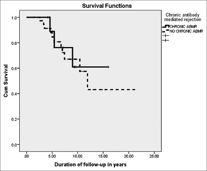 Kaplan–Meier survival analysis showing death-censored graft survival in posttransplant IgAN with and without chronic antibody-mediated rejection