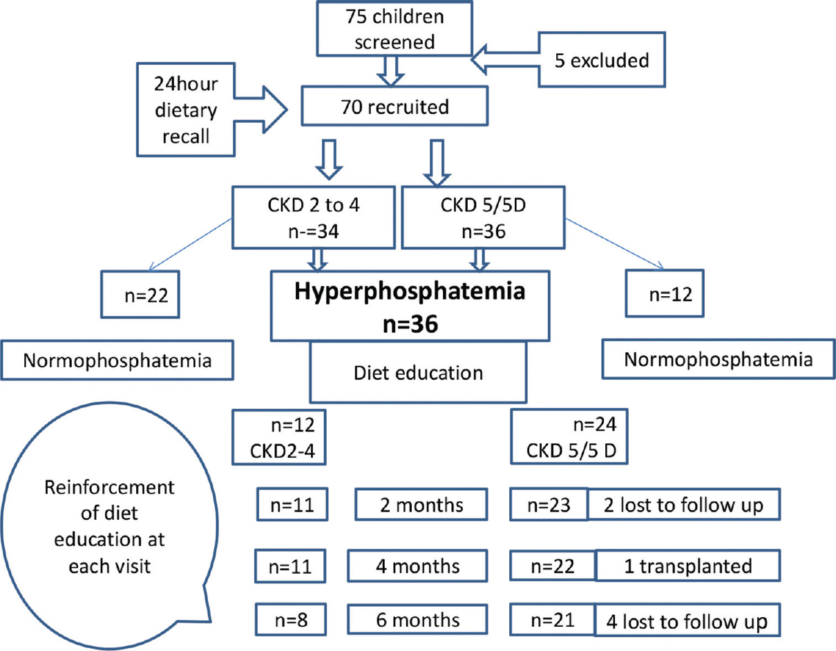 The phosphorus pyramid based on Indian dietary sources. Copyright: Department of Pediatric Nephrology, SJMCH.