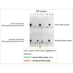 Article figure