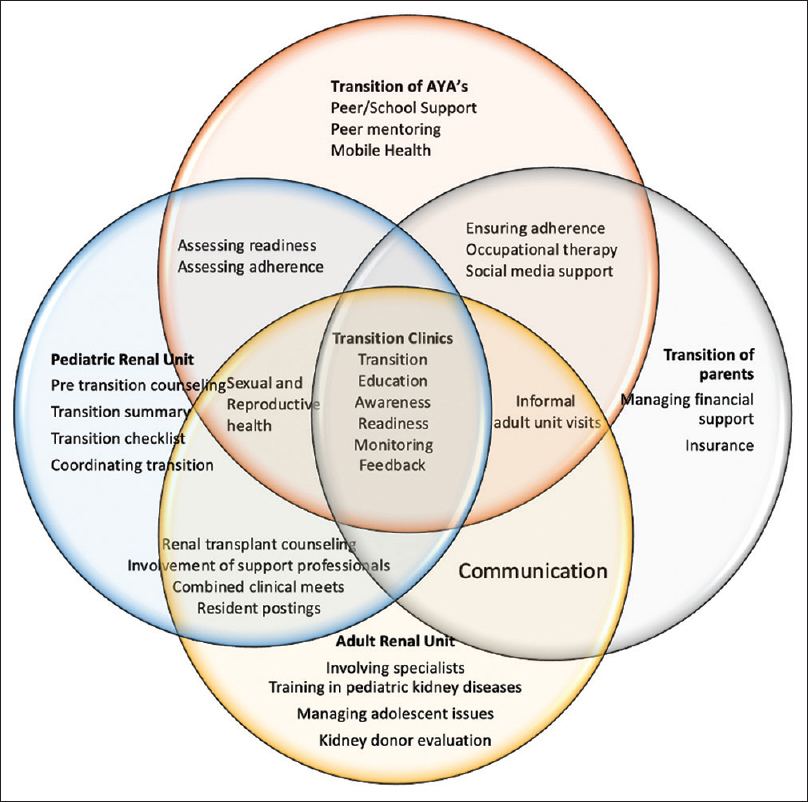 Transition model. Each circle represents the role and responsibility of each stakeholder in the process of transition. AYA = adolescent and young adult