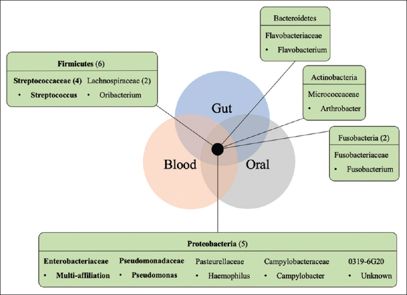 Shared taxa among the gut, oral, and blood samples in kidney transplant recipients. A set of 15 shared OTUs found in the six kidney transplant recipients studied belong to the following represented phyla, with the respective number of OTUs per phyla or family (when higher than 1) given in parentheses. OTU taxonomy (family and respective genus) found in the three habitats of multiple patients are represented in bold. OTU = operational taxonomic unit