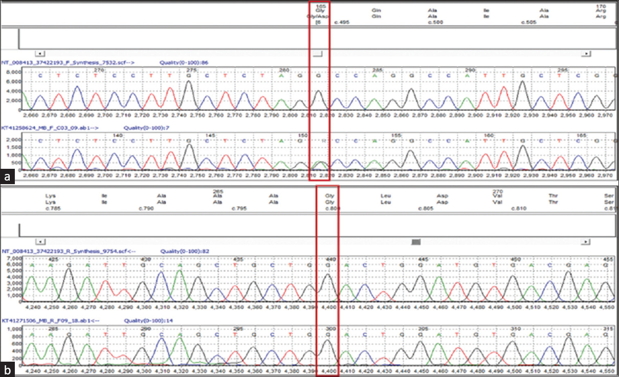 Sanger sequencing data (electropherogram) for the mother sample showing nucleotide change at chr9: c. 494G > A, (p. Gly165Asp) in GRHPR gene (a) and no nucleotide change at chr9: c. 800G > A, (p. Gly267Glu) in GRHPR gene (b)