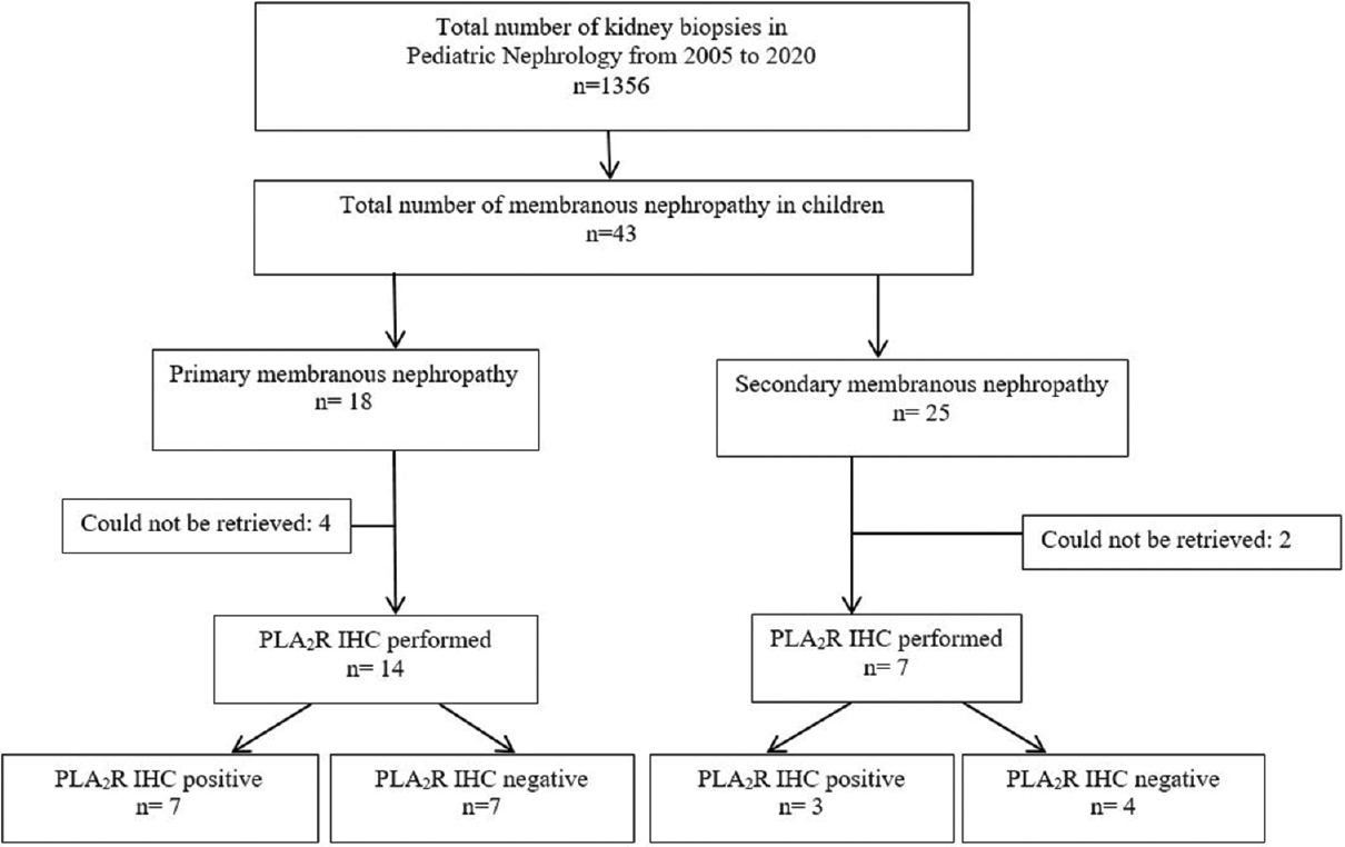 Flow diagram of the study patients showing enrolment and follow up of 43 patients from 2005 to 2020