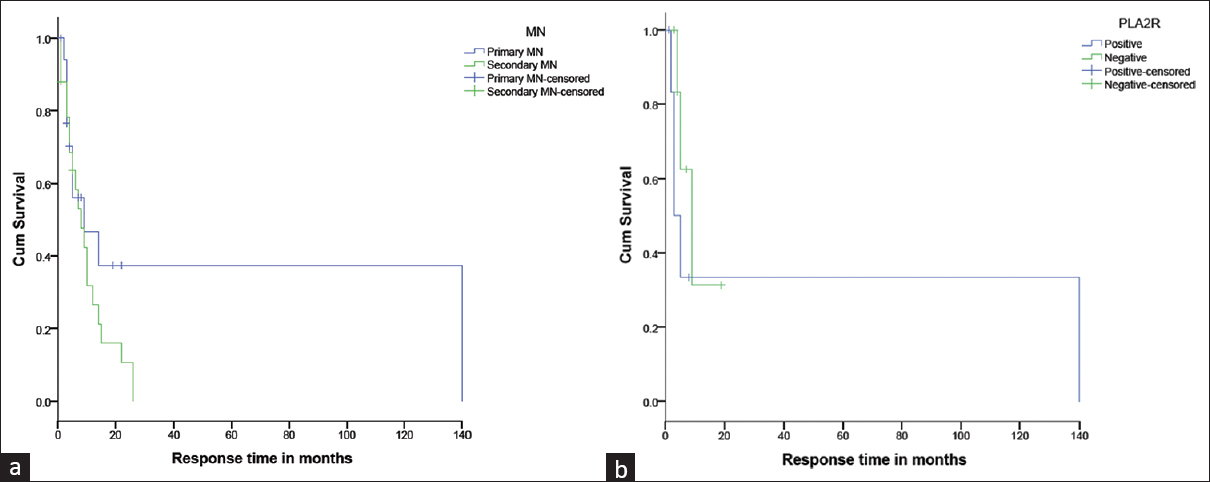 (a) Mean time to complete remission in iMN and SMN were 14 (4.5, 34.5) and 8.5 (3.8, 14.3) months respectively (p=0.13). The proportion of patients with CR/PR at last follow up was 86% (n=12/14) in iMN and 90.9% (n=20/22) in SMN (p=0.59). (b) There were no statistically significant differences between the two groups who were PLA2r positive and negative on long term follow up in terms of partial or complete remission