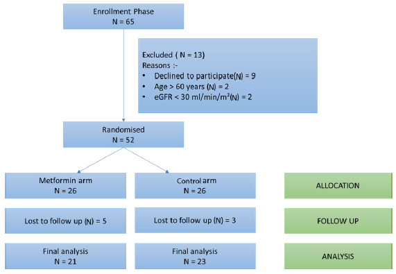 CONSORT diagram to show the flow of study participants from screening to final analysis. eGFR: Estimated glomerular filtration rate, CONSORT: Consolidated standards of reporting trials.