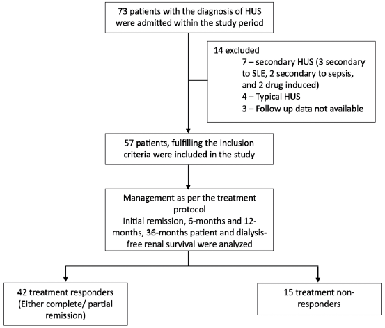 Flow chart of the study. HUS: hemolytic uremic syndrome, SLE: systemic lupus erythematosus