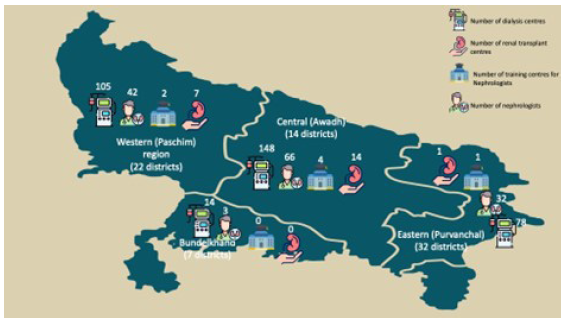 Distribution of hemodialysis centers, approved renal transplant centers, nephrologists and training institutes across the four regions of UP. Map not drawn to scale. Only for schematic representation and numbers depicts the total number available in the region.