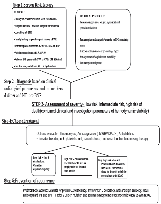 Proposed algorithm for VTE risk assessment and thromboprophylaxis in renal transplant. VTE: Venous thromboembolism, BMI: Body mass index, LMWH: Low molecular weight heparin, NOAC: novel oral anticoagulants, EPO: Erythropoietin, AF: atrial fibrillation, LV: left ventricle, PT: prothrombin time, aPTT: activated partial thromboplastin time, CTPA: CT pulmonary angiogram, NT pro BNP: nterminal pro brain natriuretic peptide.