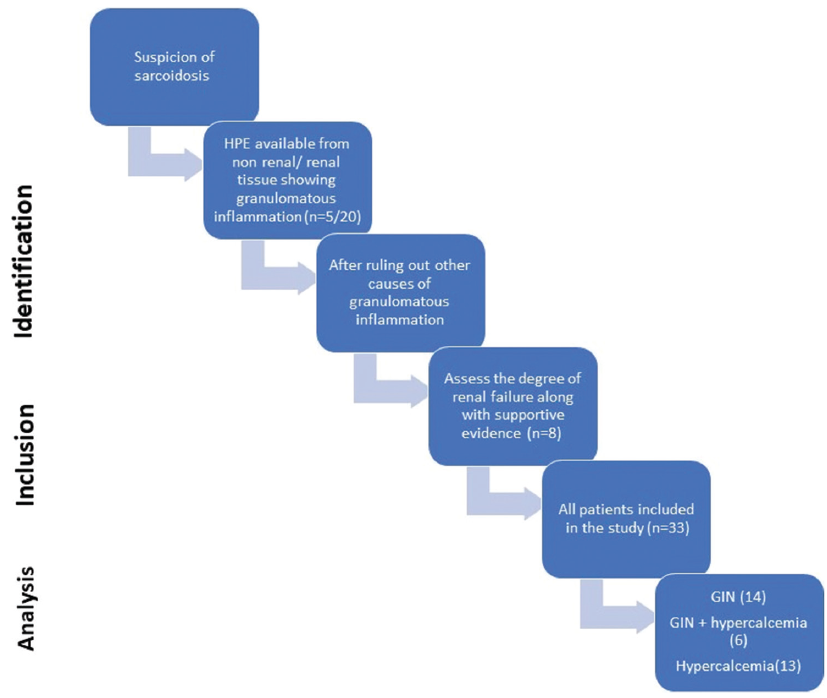 Strengthening the Reporting of Observational Studies in Epidemiology (STROBE) flowchart of the study. GIN: granulomatous interstitial nephritis.