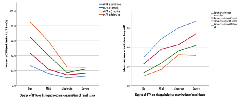 Effect of the degree of IFTA on serum creatinine and eGFR (P value across all categories of IFTA for serum creatinine and eGFR at 3-month follow-up.