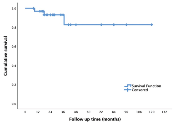 Kaplan–Meier survival analysis showing patient survival on follow-up.