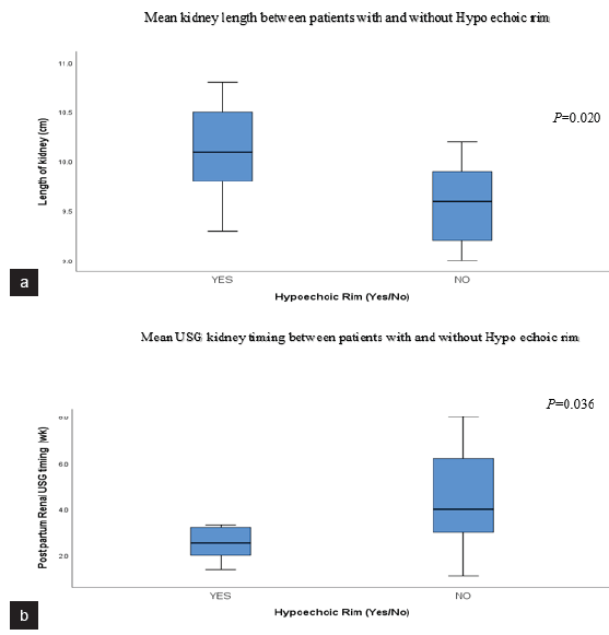 B-mode US findings. (a) Box plot showing significant difference in mean kidney length between patients with and without hypoechoic rim. (b) Box plot showing significant difference in mean USG kidney timing in patients with and without hypoechoic rim. The mean USG kidney timing was significantly earlier in patients with sono-graphic hypoechoic rim sign (2.5 ± 0.77 wks. vs 4.81 ± 2.17 wks.). USG: ultrasonography.