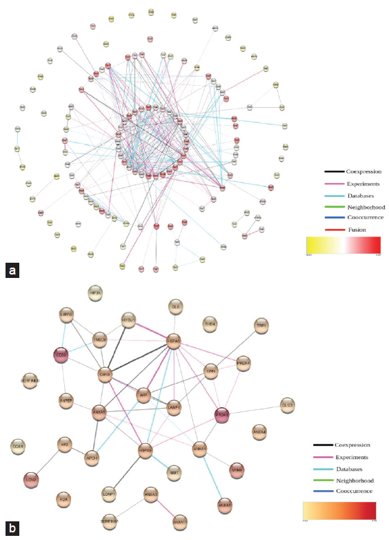 Protein interaction network analysis. (a) Protein interaction analysis of 135 proteins identified in urine. (b) Protein interaction analysis of 35 proteins identified in urine.