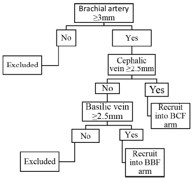 Patient allocation algorithm – Part 2. BCF: Brachiocephalic fistula; BBF: Brachiobasilic fistula.