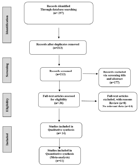 Flow diagram of the study design process.