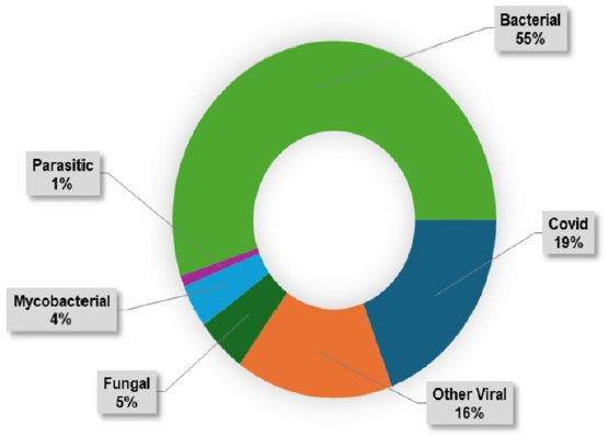 Distribution of post-transplant infection episodes according to etiology.