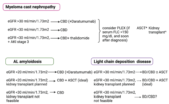 First-line treatment of myeloma cast nephropathy, AL amyloidosis, and light chain deposition disease. CBD is C: Cyclophosphamide, B: Bortezomib, D: Dexamethasone; ASCT: autologous stem cell transplantation, eGFR: Estimated glomerular filtration rate, AKI: Acute kidney injury, FLC: Free light chains, PLEX: Plasma pharesis, *ASCT is performed after hematological complete or very good partial response to achieve prolonged remission, ^kidney transplant can be performed if standard criteria for kidney transplantation are met, and complete hematological response is achieved.