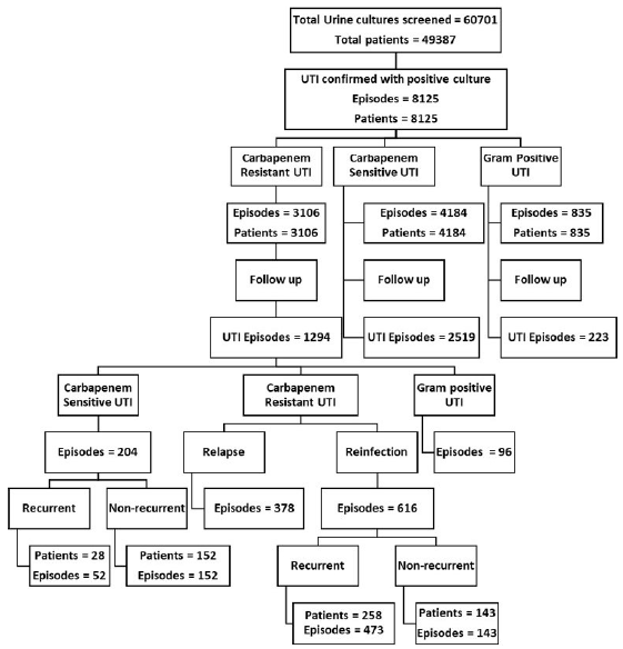 Baseline flowchart of the study design, Urinary Tract Infection (UTI).