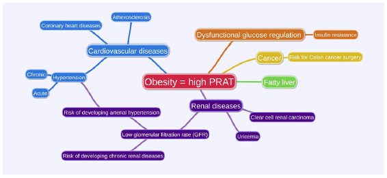 Perirenal adipose tissue (PRAT)’s association with other diseases.