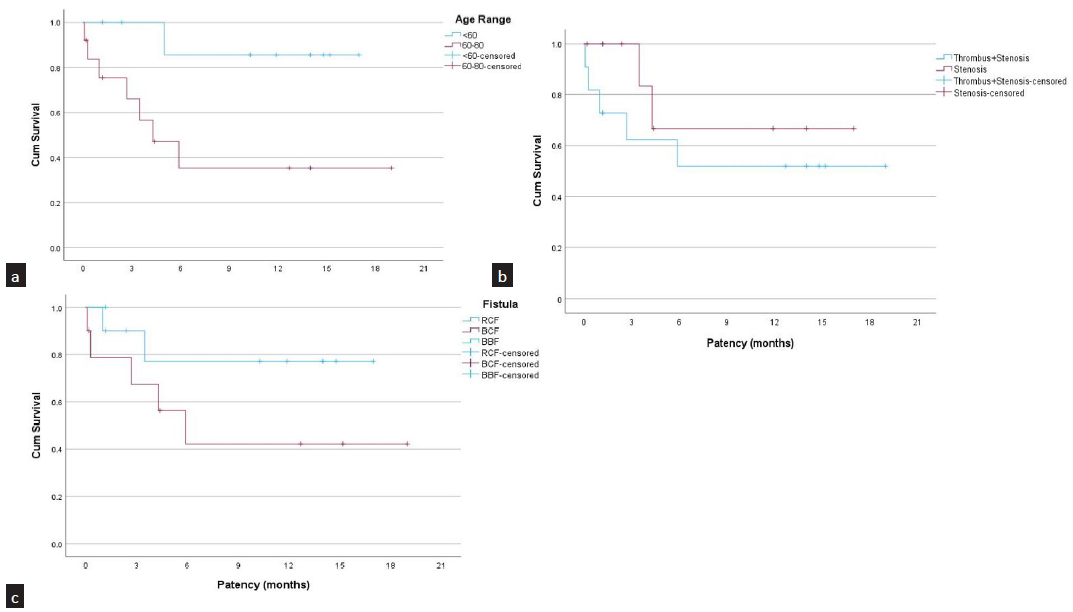 Outcomes of Endovascular Treatment for Salvaging Failed Hemodialysis ...