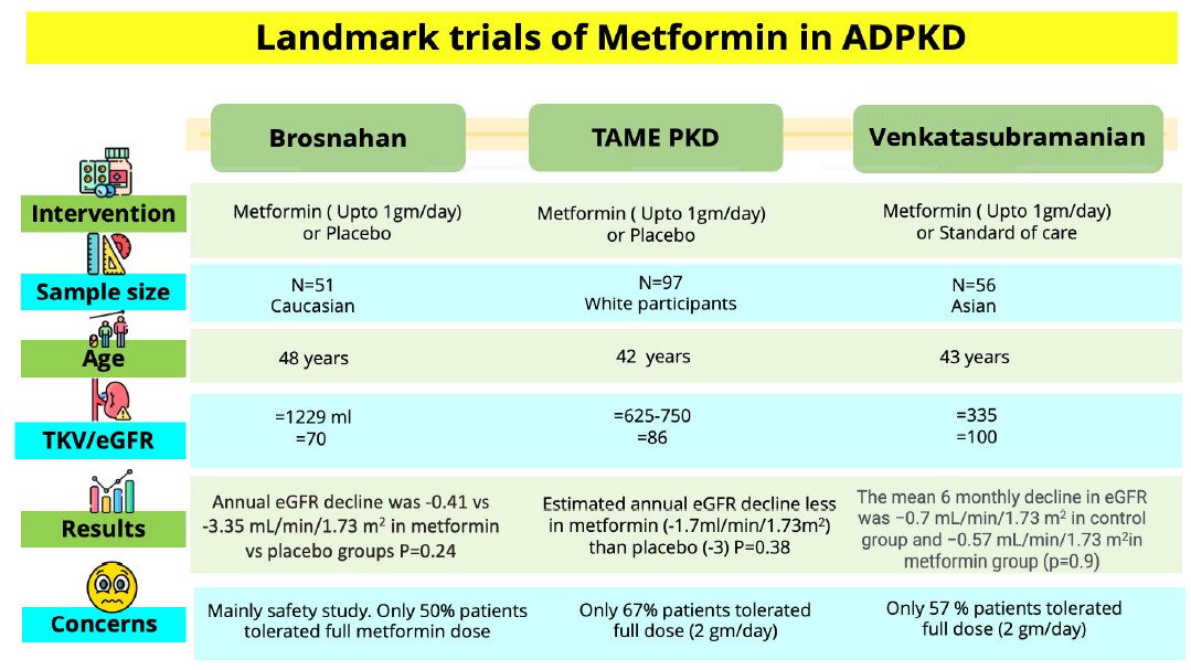 Existing metformin studies in ADPKD. ADPKD: Autosomal dominant polycystic kidney disease, TAME PKD: Trial of administration of metformin in polycystic kidney disease, eGFR: estimated glomerular filtration rate, TKV: Total kidney volume.