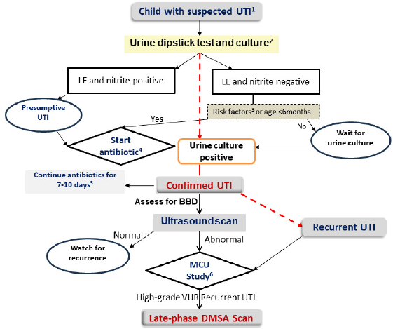 Approach to a child with suspected urinary tract infection (UTI). 1. Fever (>48 h) without focus in children less than 24 months or with specific urinary symptoms in older children; 2. If feasible to perform urine microscopy (leukocyturia and bacteriuria) can be used as an alternative to the dipstick; 3. Risk factors: bladder-bowel dysfunction, primary vesicoureteric reflux, previous history of UTI; 4. Oral route is preferred over IV except in infants less than 2 months, sepsis, and inability to take oral medications; 5. In adolescents where it is feasible to make the diagnosis of cystitis oral antibiotic therapy of 3–7 days is sufficient; 6. MCU study can also be considered in children with UTI due to non-E.coli uropathogens.11 LE: Leukocyte esterase, DMSA: Dimarcapto succinic acid scintigraphy, VUR: vesicoureteric reflux, BBD: bladder bowel dysfunction.