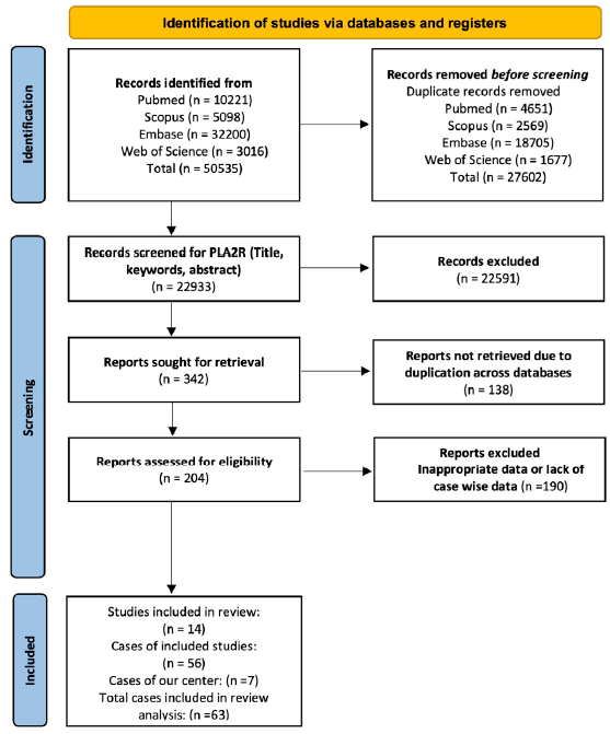 Preferred reporting items for systematic reviews and meta-analyses (PRISMA) flow diagram. The diagram illustrates the systematic process of incorporating papers identified through our search. PLA2R: Phospholipase A2 receptor.