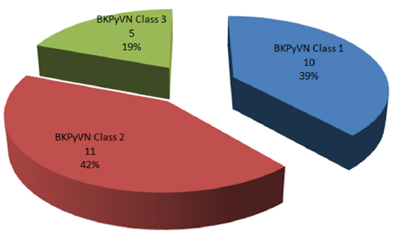 BK Polyoma virus nephropathy (BKPyVN) class according to biopsy.