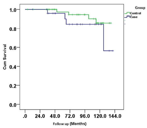 Kaplan meier curve showing patient survival between two groups.