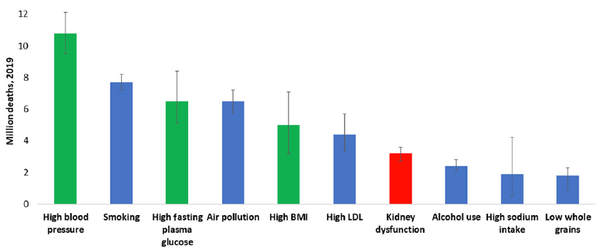 All ages, top ten global risk factors for death, 2019. Kidney dysfunction (defined as estimated glomerular filtration rate <60 ml/min per 1.73 m2 or albumin-to-creatinine ratio ≥30 mg/g) was the seventh leading global level 3 risk factor for death in 2019. The three leading global risk factors for kidney disease, including hypertension, diabetes, and overweight/obesity, are also leading global risk factors for death; therefore, holistic strategies are required to address all risk factors simultaneously. Ranking is depicted by millions if deaths are attributed to the risk factors. Error bars depict the confidence range. Global ranking of kidney dysfunction stratified by World Bank income category and gender is shown in Supplementary Figure S1. Data obtained from the Global Burden of Disease Study.2 BMI, body mass index; LDL, low-density lipoprotein.