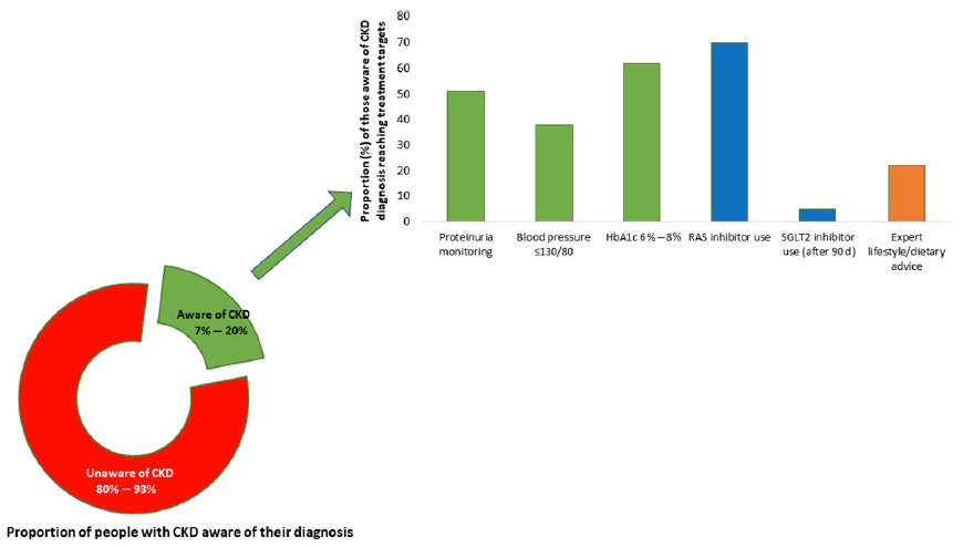 Proportion of people with chronic kidney disease (CKD) who are aware of their diagnosis and are receiving appropriate guideline-recommended care. The proportion of people with CKD who are aware of their diagnosis varies globally, with rates ranging from 7% to 20%. As CKD stage worsens, knowledge of CKD increases. Among those with a diagnosis of CKD, the average proportion of patients receiving appropriate medication to delay CKD progression (renin-angiotensin-aldosterone system [RAS] inhibitors and sodium-glucose cotransporter 2 [SGLT2] inhibitors) is suboptimal as are those reaching target blood pressure, diabetes control, and nutrition advice. The treatment targets depicted in the figure follow the Kidney Disease: Improving Global Outcomes (KDIGO) 2012 guidelines.15 Most data come from higher-resource settings; these proportions are likely lower in lower-resource settings. Data are shown for proportions of patients reaching blood pressure of < 130/80 mm Hg. Data compiled from previous studies.15–20 HbA1c, hemoglobin A1c.