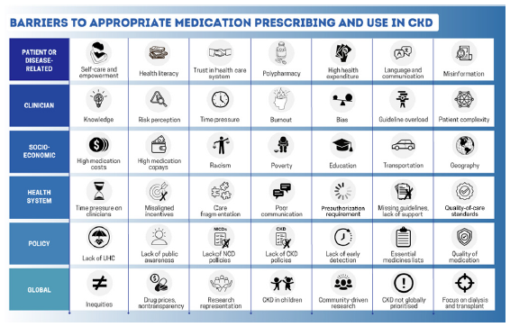 Depiction of the spectrum of factors impacting implementation of timely and quality kidney care. CKD, chronic kidney disease; NCD, noncommunicable disease; UHC, universal health coverage.