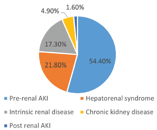 Etiological classification of cirrhosis. AKI: Acute kidney injury.