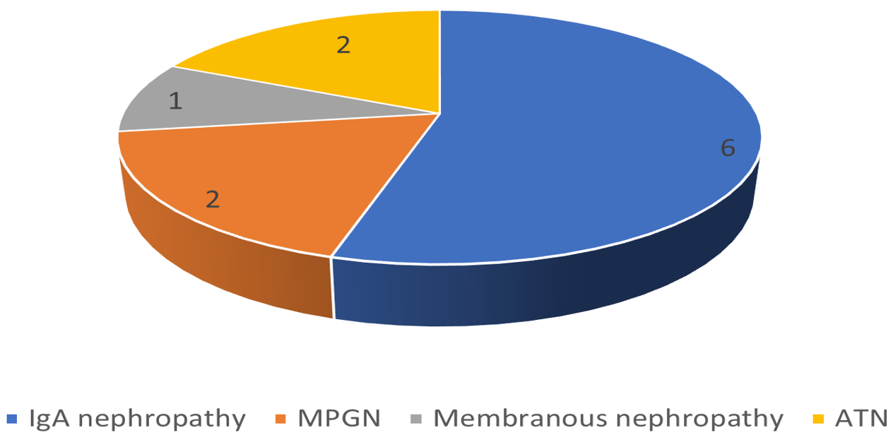 Histopathologic findings on renal biopsy of nonresponders. ATN: Acute tubular necrosis; MPGN: Membranoproliferative glomerulonephritis; IgA: Immunoglobulin A.