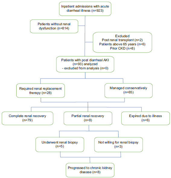 Study flow. AKI: Acute kidney injury, CKD: chronic kidney disease